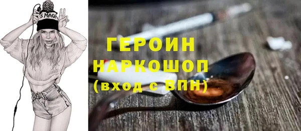 сатива Новозыбков