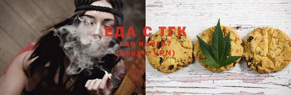 сатива Новозыбков