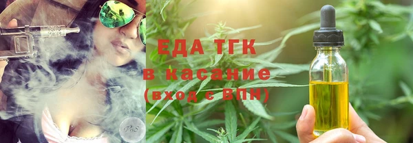 сатива Новозыбков