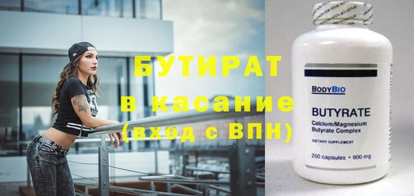 сатива Новозыбков