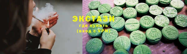 сатива Новозыбков