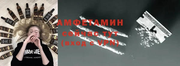 сатива Новозыбков