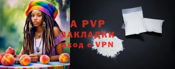 сатива Новозыбков