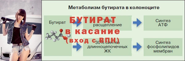 амф Новодвинск