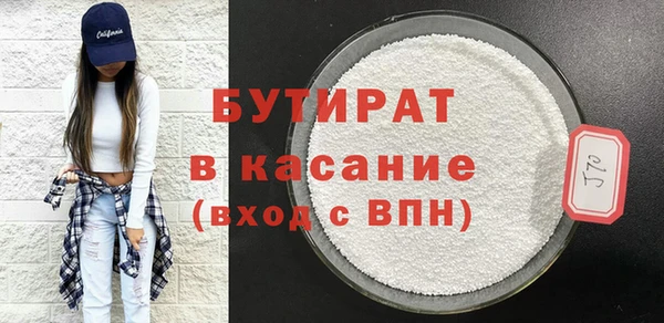 сатива Новозыбков