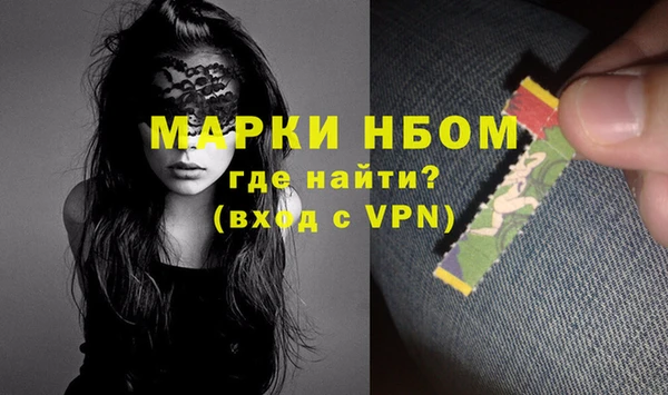 сатива Новозыбков