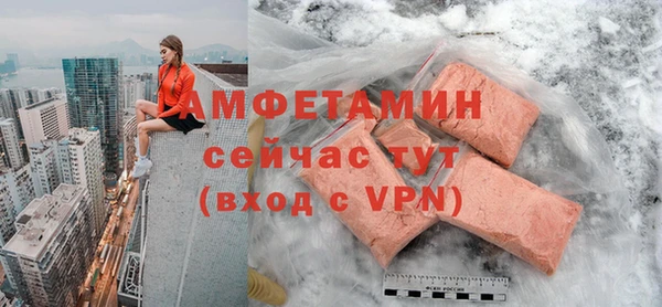 сатива Новозыбков