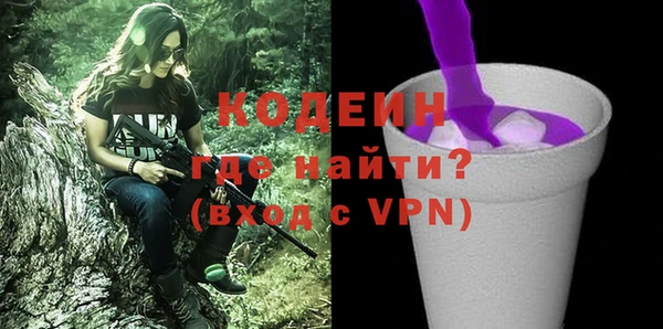 сатива Новозыбков