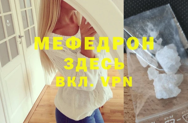 сатива Новозыбков