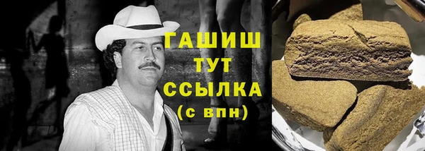 сатива Новозыбков