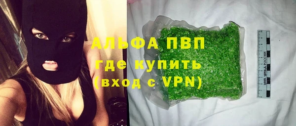 амф Новодвинск